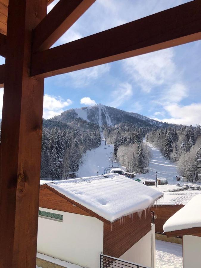 Chalet Kokhta Бакуриани Екстериор снимка