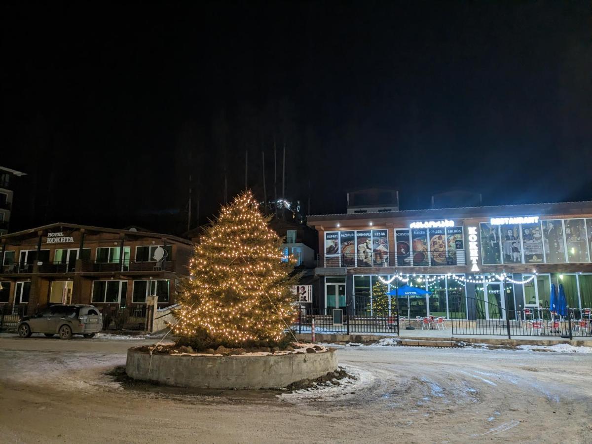 Chalet Kokhta Бакуриани Екстериор снимка