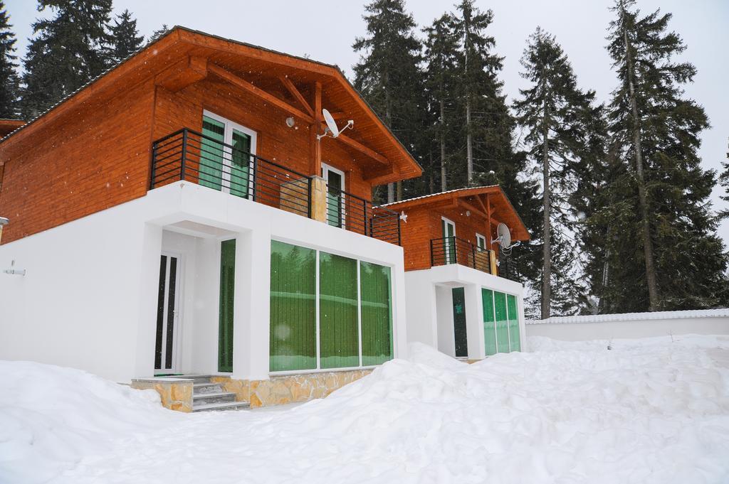 Chalet Kokhta Бакуриани Екстериор снимка