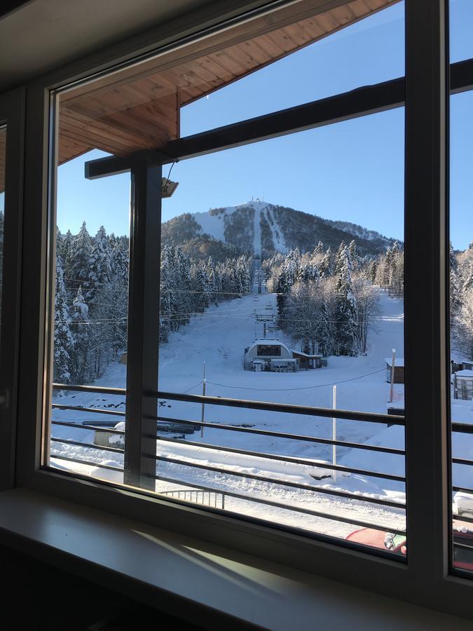 Chalet Kokhta Бакуриани Екстериор снимка
